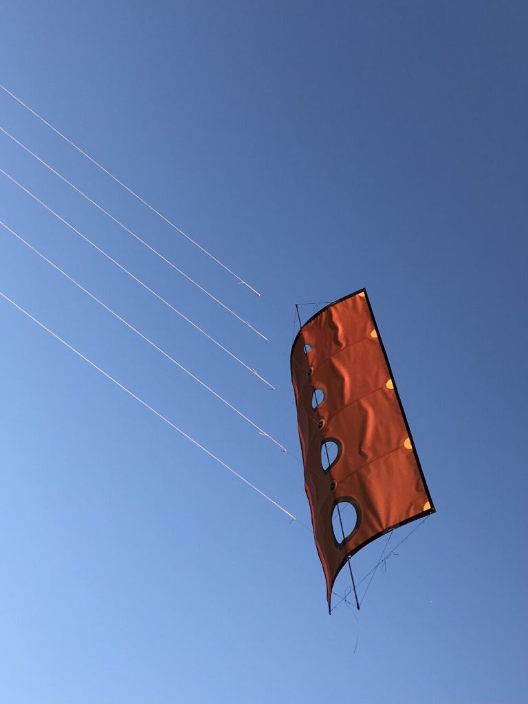 Edolito-style kite. Moonwort Studio. 