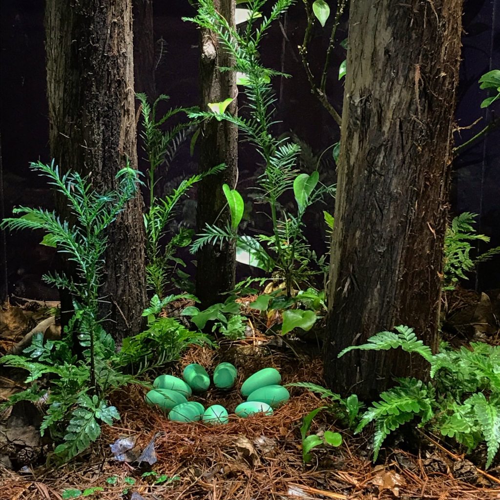 Alberta 75 Million Years Before Present Redwood Forest Diorama/Terrarium