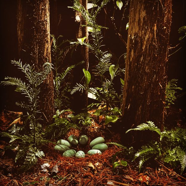 Alberta 75 Million Years Before Present Redwood Forest Diorama/Terrarium