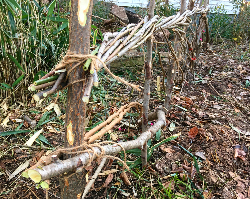 A laid native shrubs hedge with live pleachers, stakes and Willow binders.  