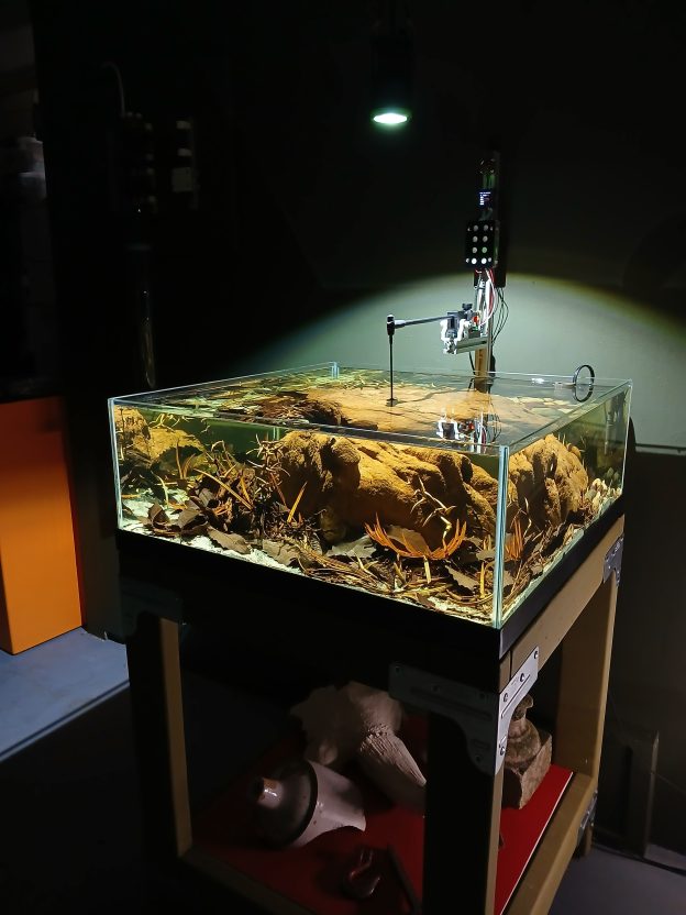 Horses' Teeth 20-gallon Desert Pool Aquarium Biotope A pendant LED lamp provides a bright point-source light to accentuate water caustics effect and ripple expression.