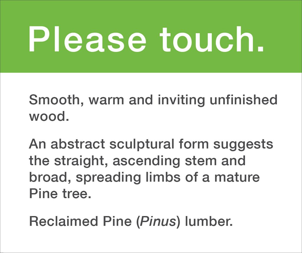 Woodland Shapes gallery label for Pine (Pinus sp.) sculpture.